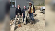 Members of the team pose with some of the mammoth bones that were found in Little Flake Mine near Dawson City in the Yukon. 