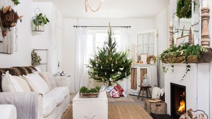 living room with faux plants 