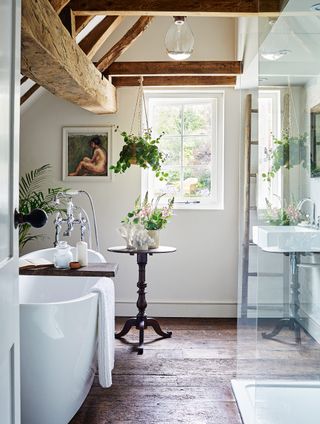 Plants in a cottage bathroom