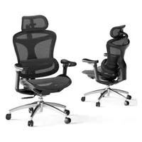 Sihoo Doro C300