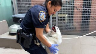 Snow the dog trapped in hot car being adopted by officer Maharaj