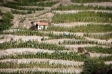 Hermitage Lieux-Dits