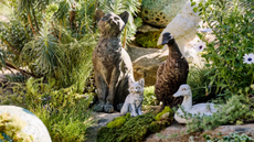 a collection of garden statues including cats and ducks surrounded by plant life