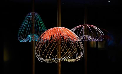 crystal-inspired Sundew installation