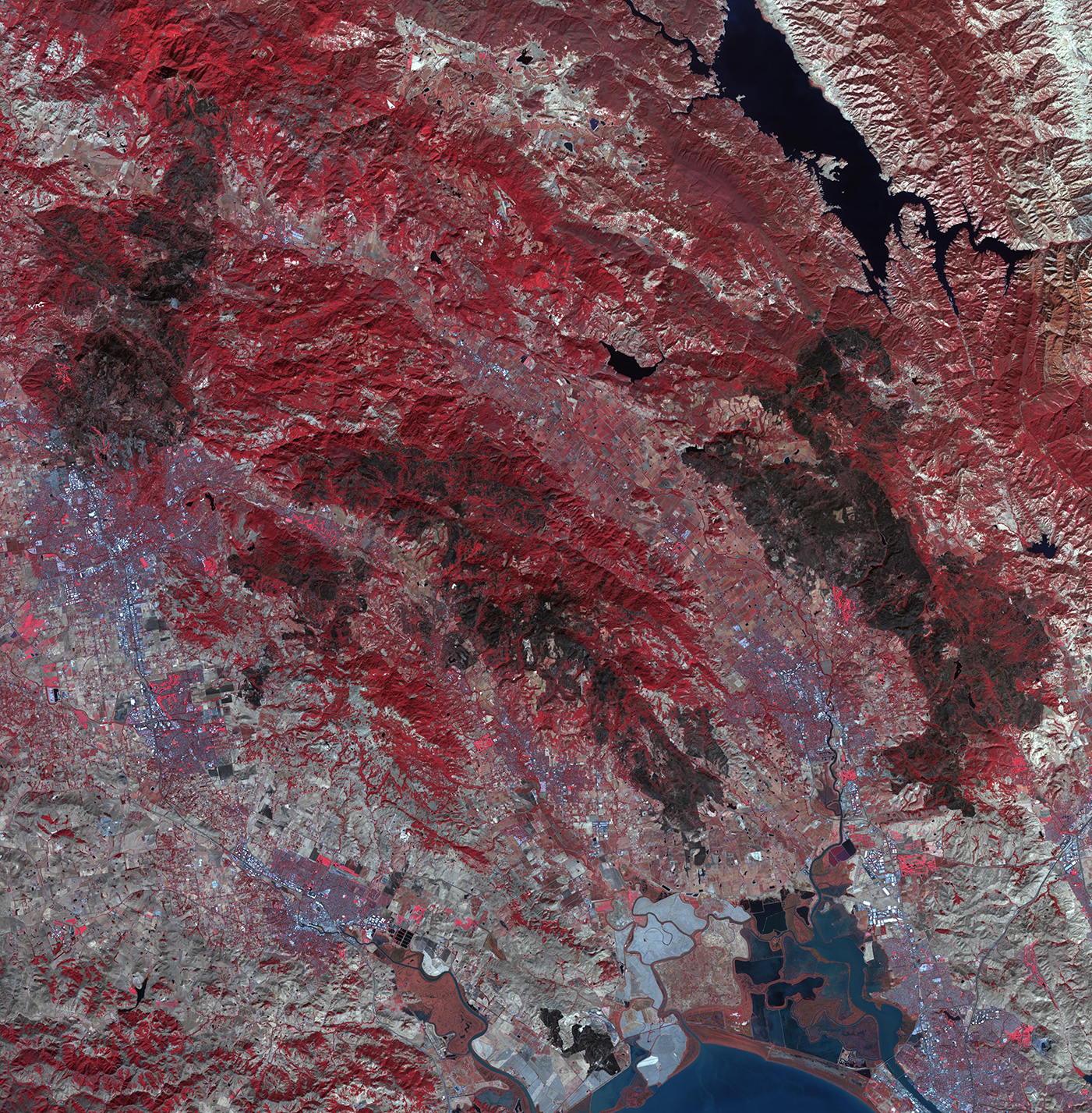 California Wildfire Damage from Space