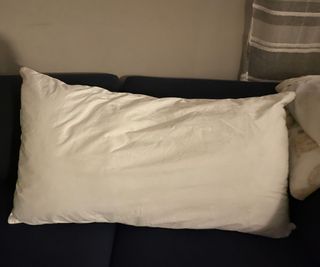 Sleep Number PlushComfort Classic Pillow on a sofa.