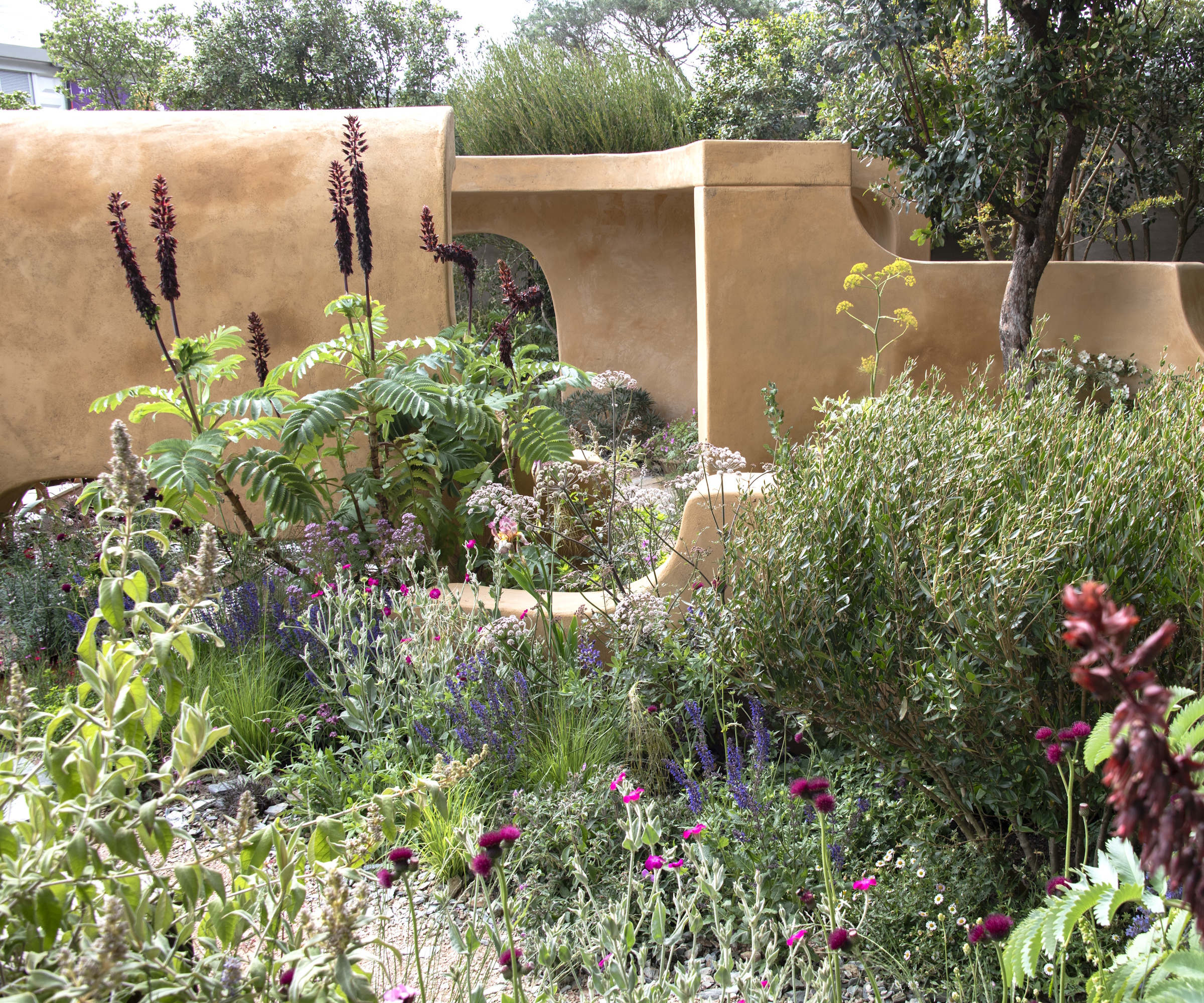 RHS Chelsea Flower Show 2026 the 'Silent No More' Garden