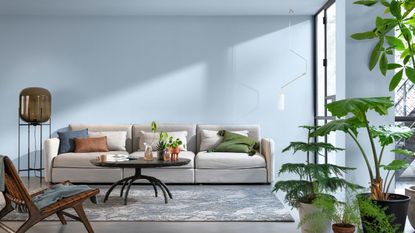 Dulux colour of the year Blue Skies in living room with grey sofa, plants, rug