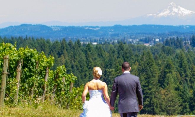 Vineyard wedding