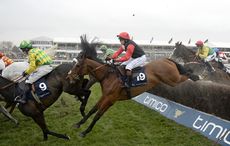 Pacha Du Polder and Victoria Pendleton (black with red sleeves) runs well in the Foxhunters finishing 5th 18-3-16