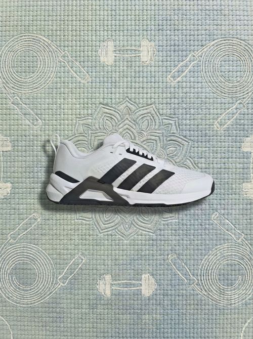 Dropset Control Training Shoes (mens)