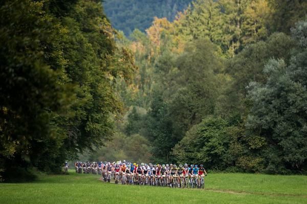 The peloton
