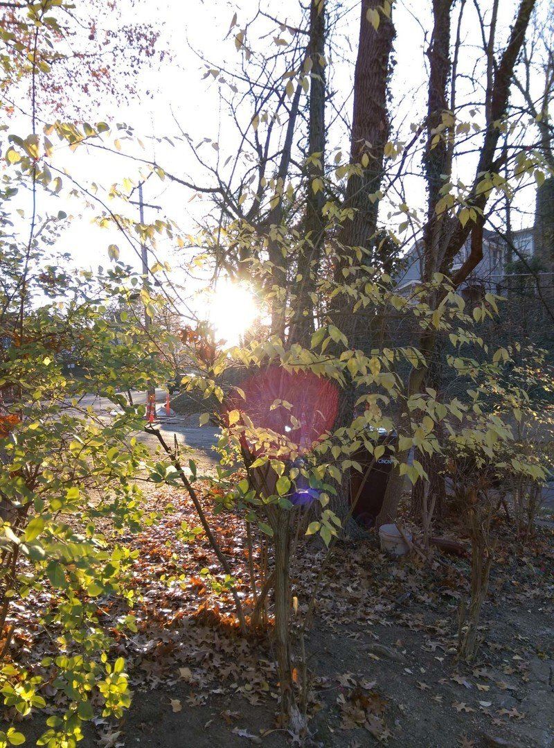 HTC Desire Eye rear camera sample