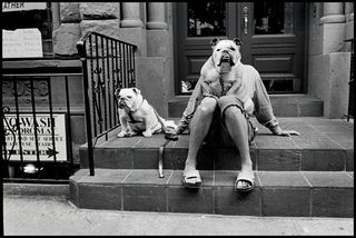 photograph of man with two dogs in USA, New York City