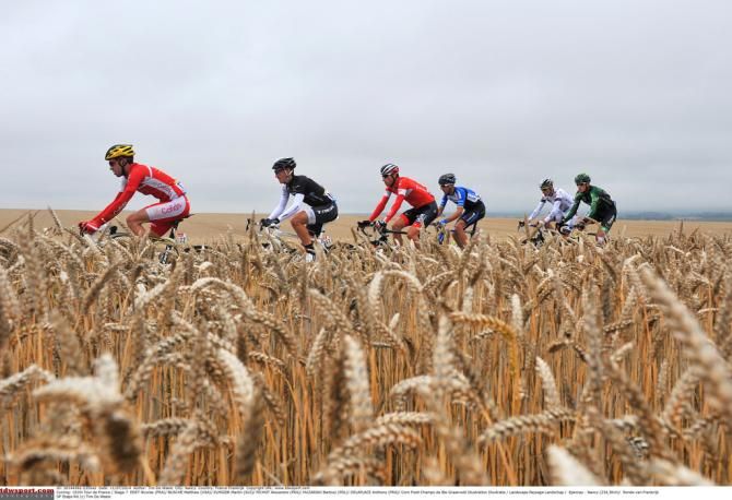 The breakaway passes by a corn field