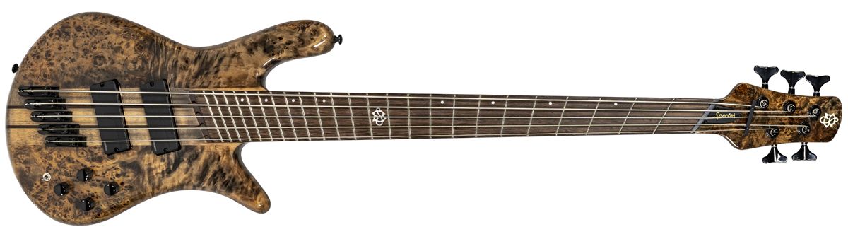 Spector NS Dimension