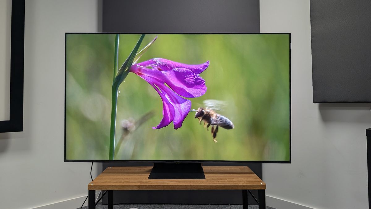 TCL C855K 65-inch Mini LED TV on wooden AV bench with bee and flower on screen