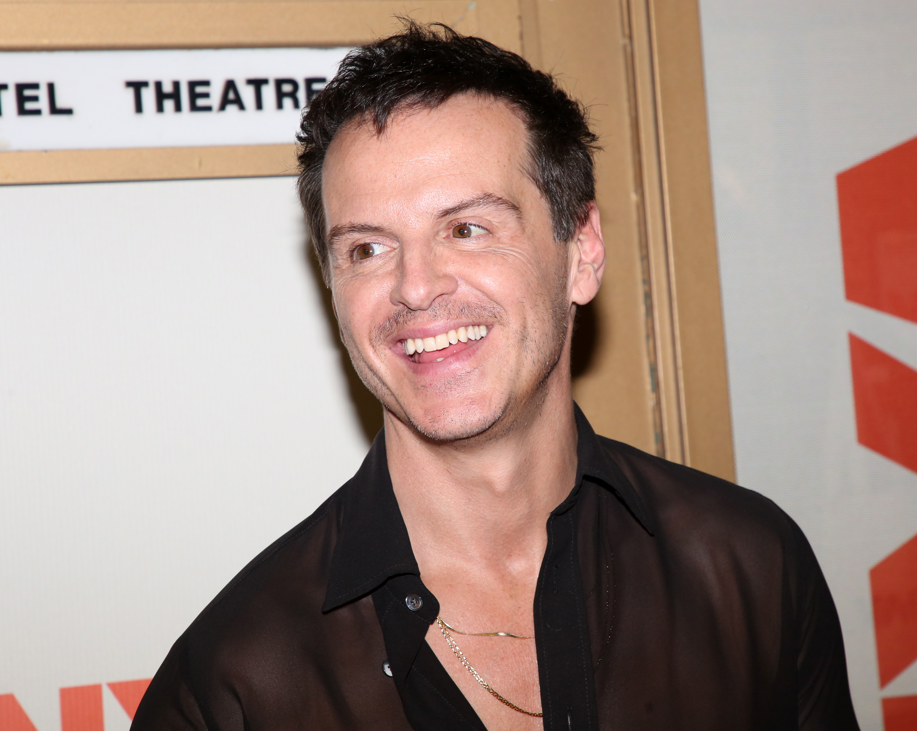irish - Andrew Scott