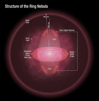 This illustration depicts a sideways view of the Ring Nebula, as deduced by astronomers using new Hubble observations. The doughnut-shaped feature in the center of the graphic is the main ring. The lobes above and below the ring comprise a football-shaped structure that pierces the ring. Dense knots of gas are embedded along the ring's inner rim. Image released May 23, 2013.