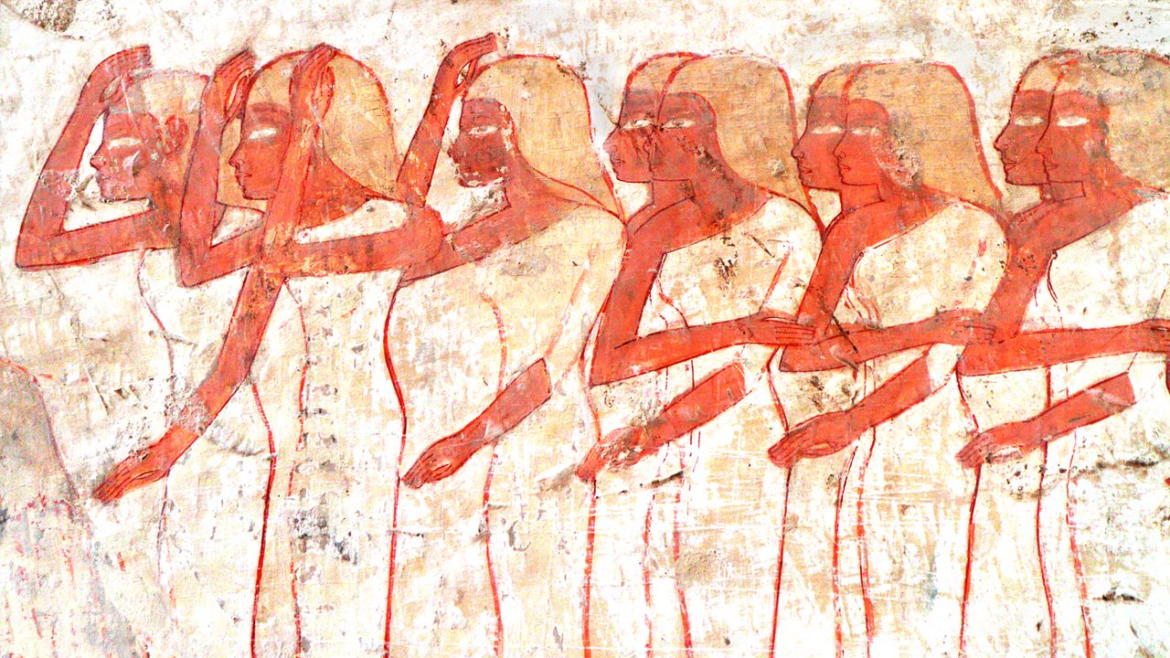 'The papyrus also recommends putting a clove of garlic in your vagina before bed': The texts that reveal the baffling healthcare for women in ancient Egypt
