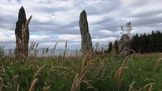 The rocky Ballochroy standing stones stand in a weedy green field in the UK
