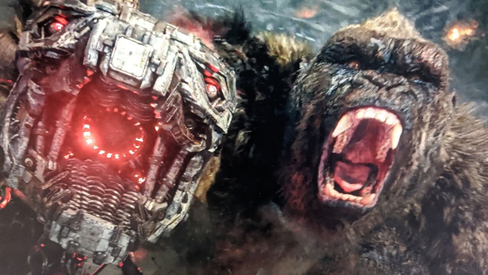 Godzilla vs Kong ending explained: who won the MonsterVerse fight ...