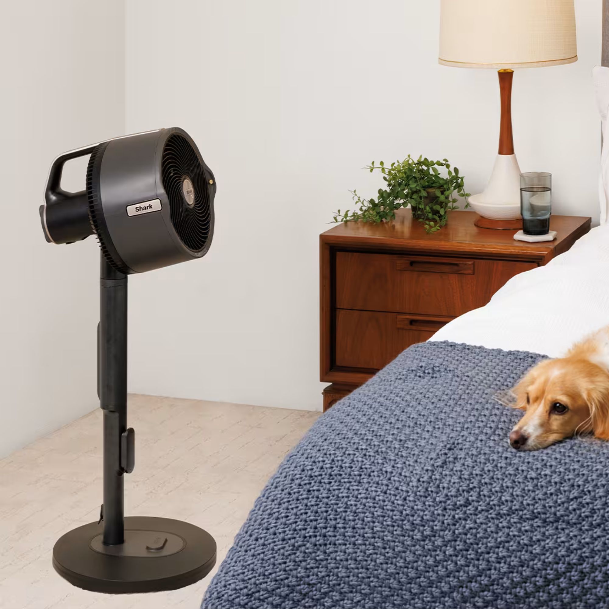 Shark FlexBreeze Pro Mist Indoor & Outdoor Fan & Outdoor Misting System FA300UK in a bedroom with a dog on the bed next to it