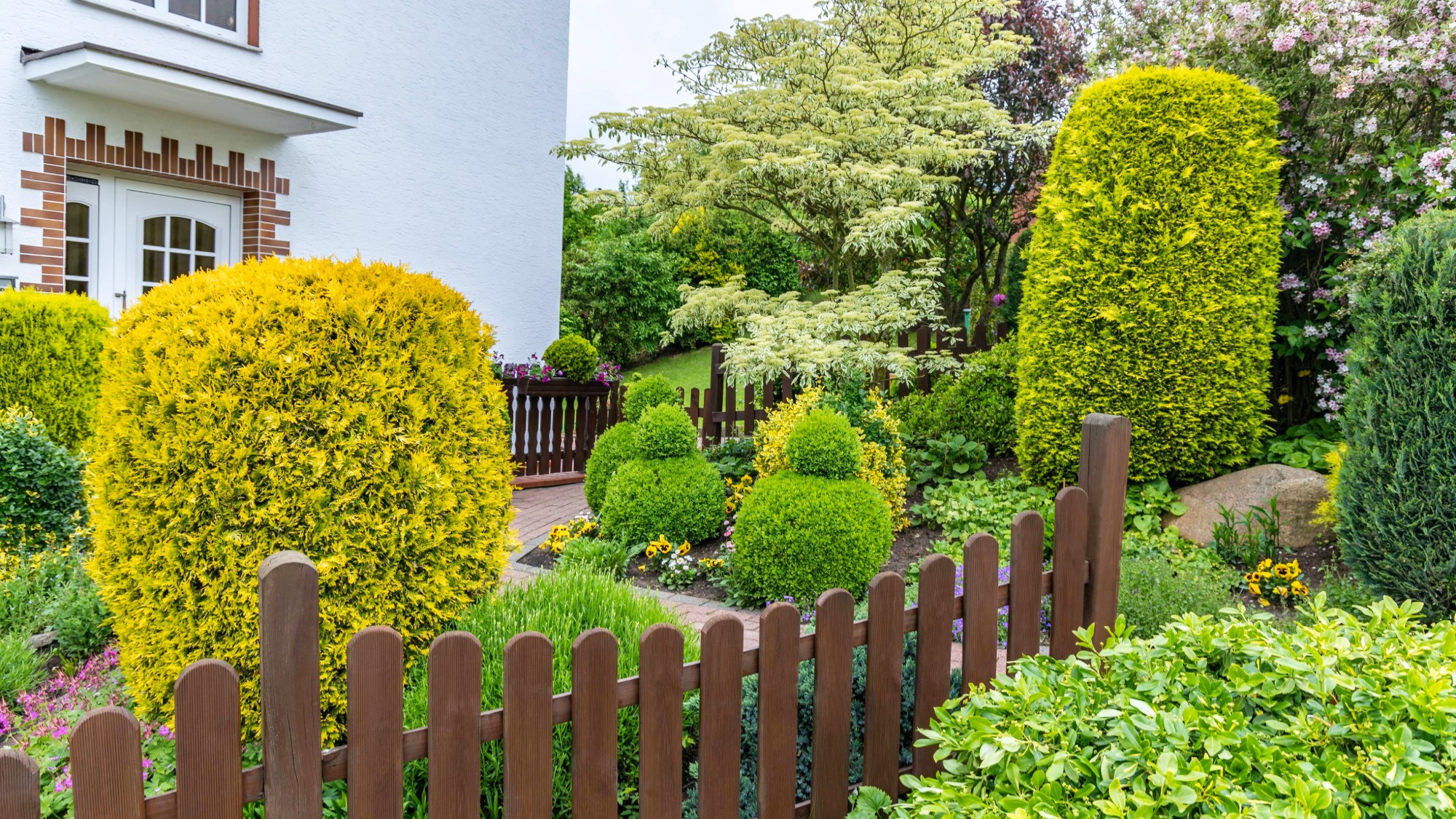 Fence in garden between houses