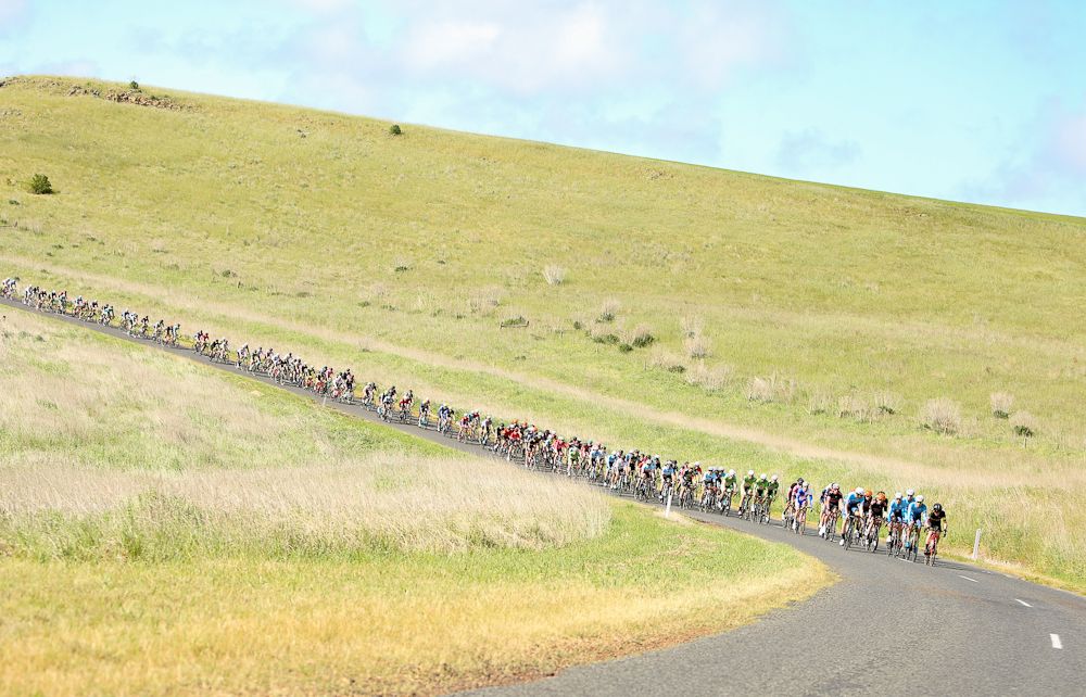 The 'Warrnambool' peloton