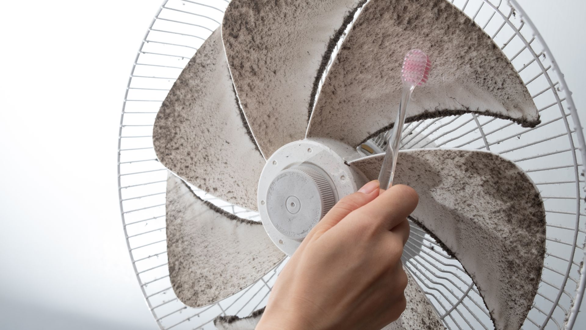 picture of woman cleaning electric fan with toothbrush