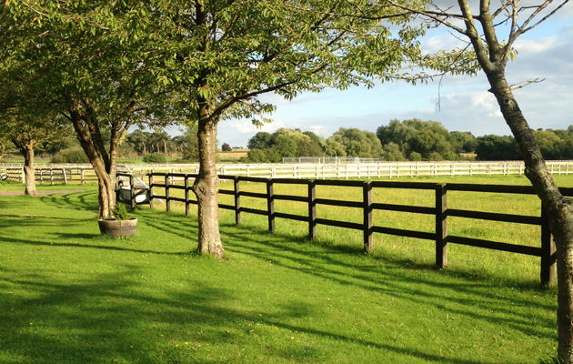 Hilly's surroundings in quarantine