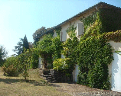 bordeaux-vineyard-estate