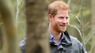 Prince Harry