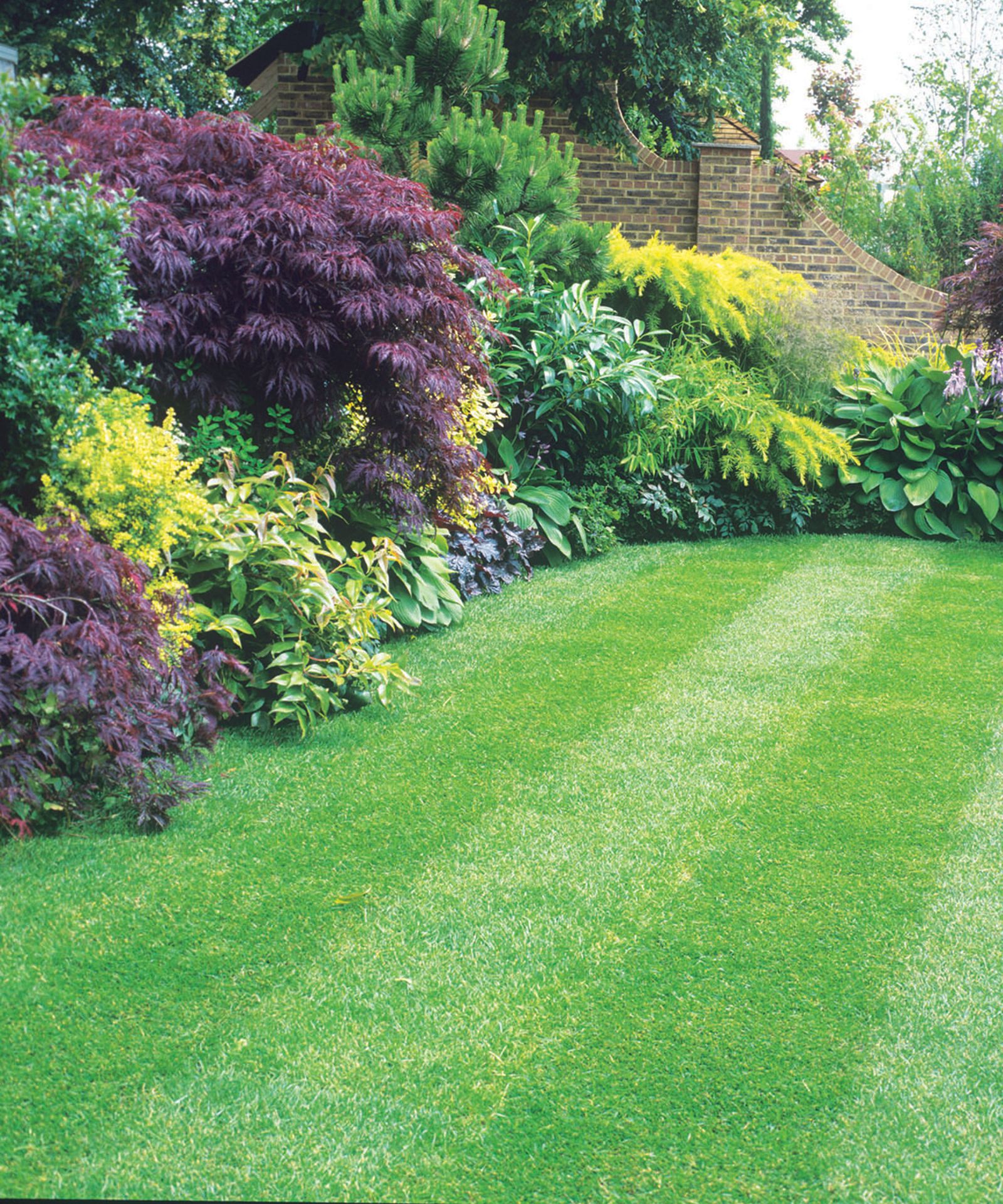 Can you fertilize in the rain? Lawn experts share their tips Homes