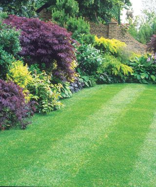 lawn with flowerbeds and shrubs