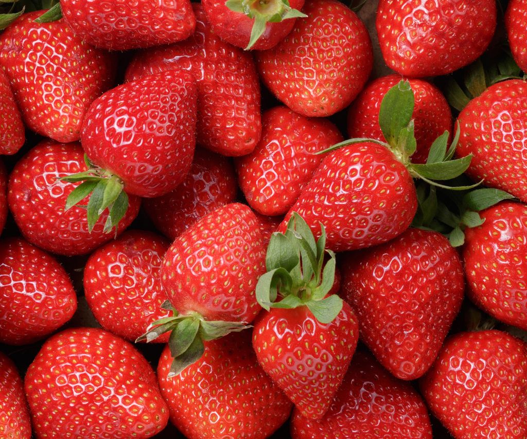 How To Grow Strawberries From A Strawberry 