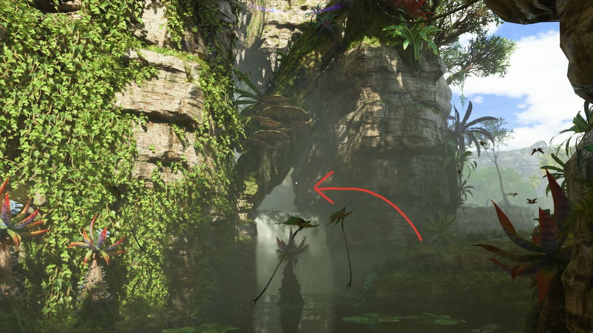 avatar find nor