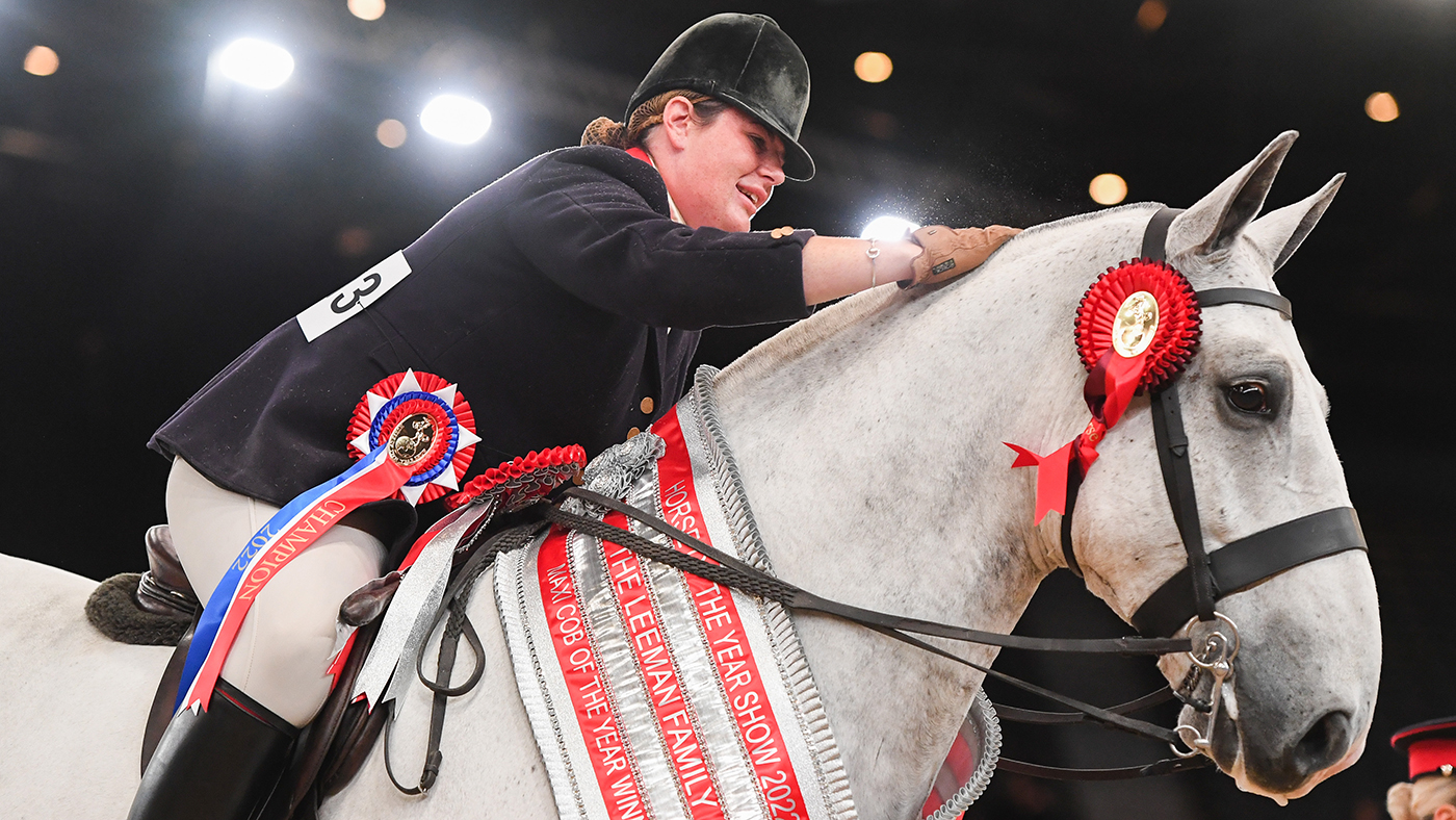 HOYS maxi cob