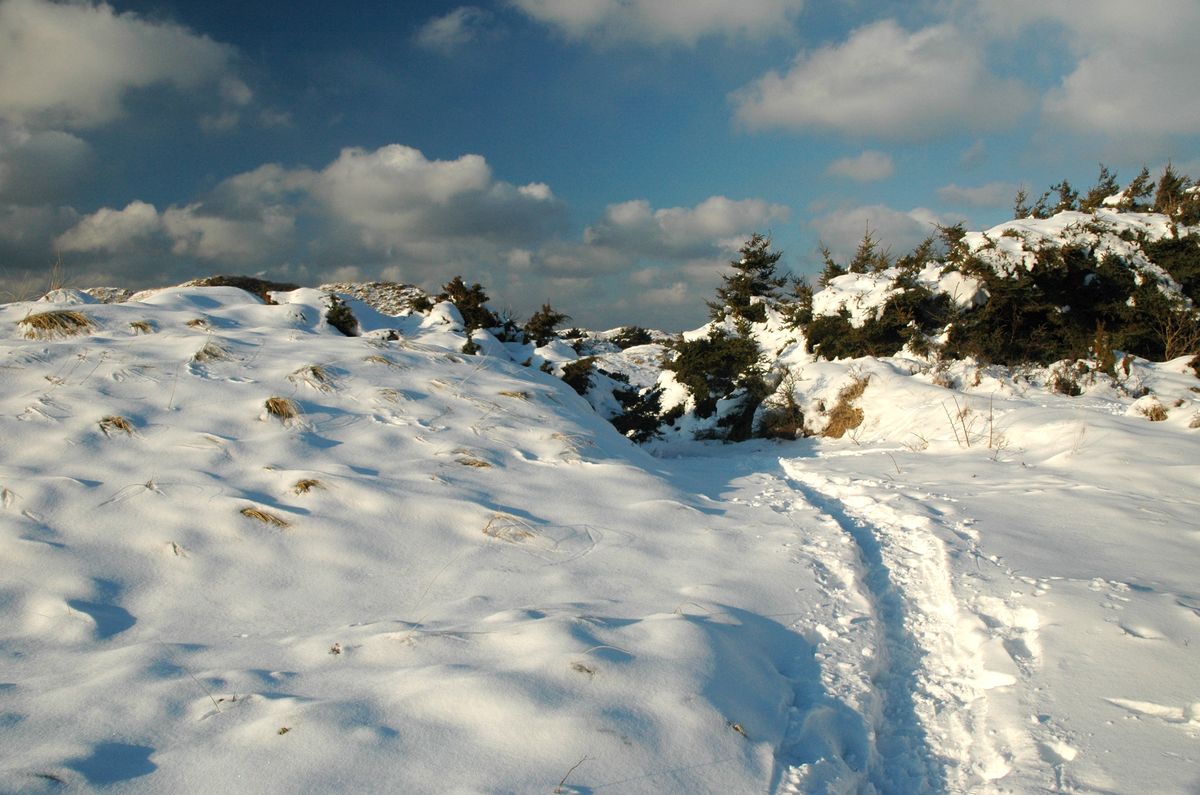 Torben St&aelig;hr - Denmark