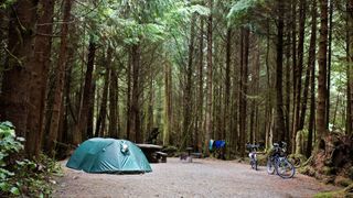 Camp set up in forest clearing