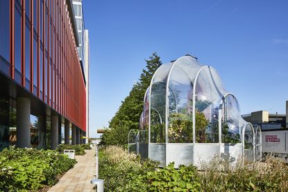 Hothouse packed with exotic and unusual plants