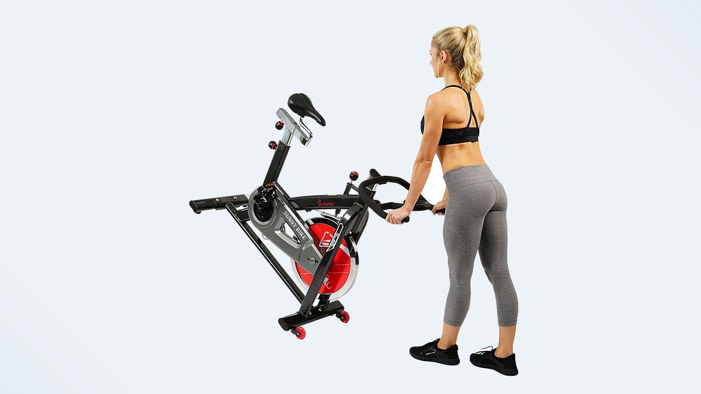 sunny workout bike