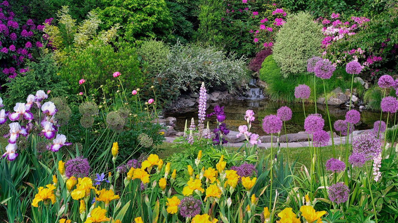 What to plant when Pond with flower garden