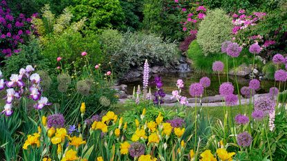 What to plant when Pond with flower garden