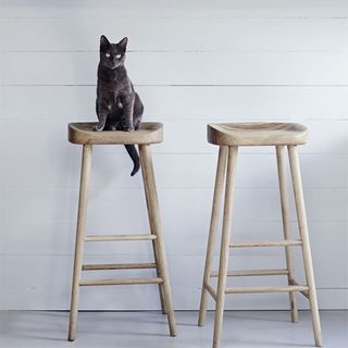 room with bar stool and black cat