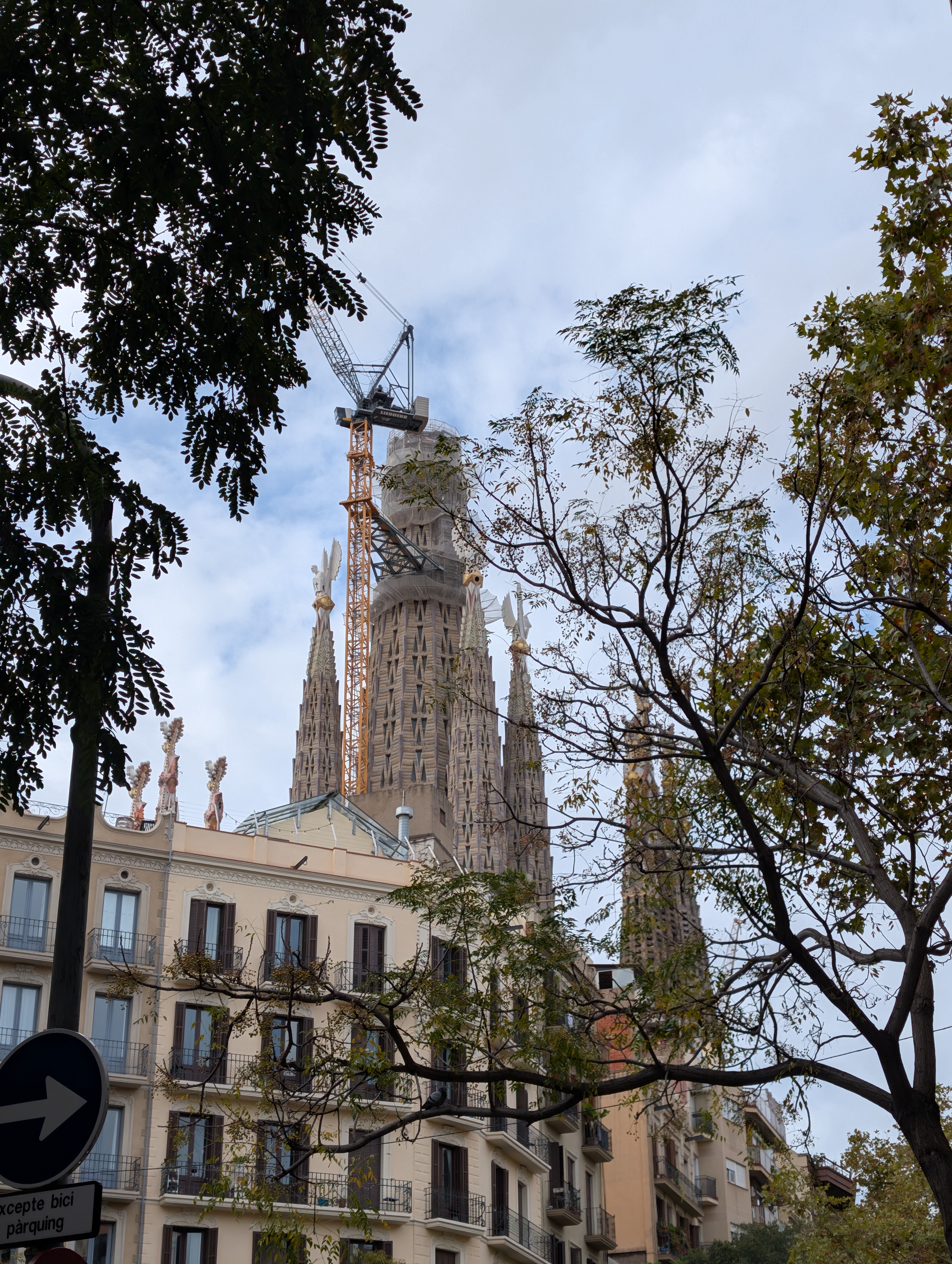 Google Pixel 10 Pro XL