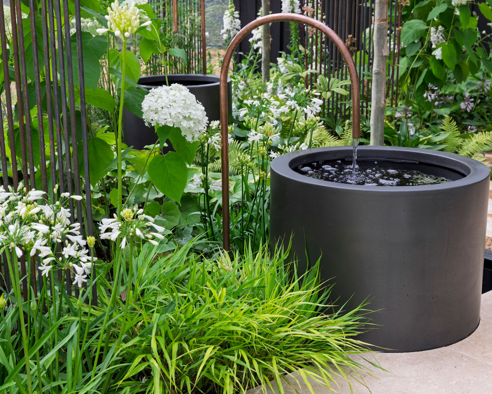 water feature with cream planting including agapanthus and hydrangea flowers