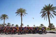 Peloton riding stage 3 to Jebel Hafeet in 2024