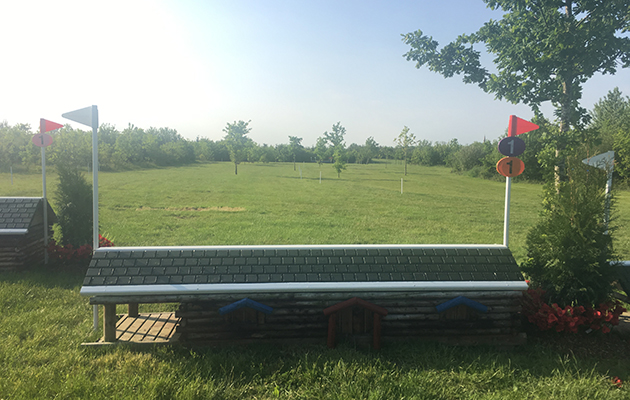 Fence 1