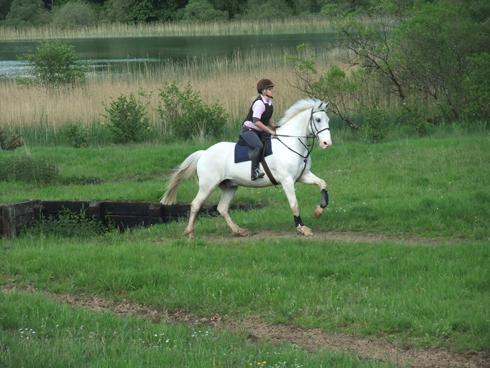 sofia jumping blue 1
